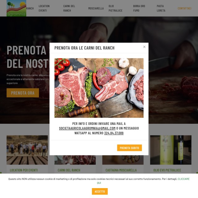 Screenshot sito web Agromnia Agricola